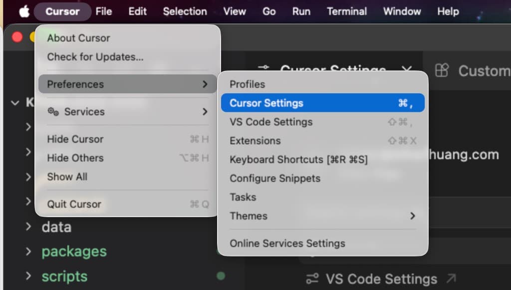 Cursor 菜单打开 Preferences → Cursor Settings